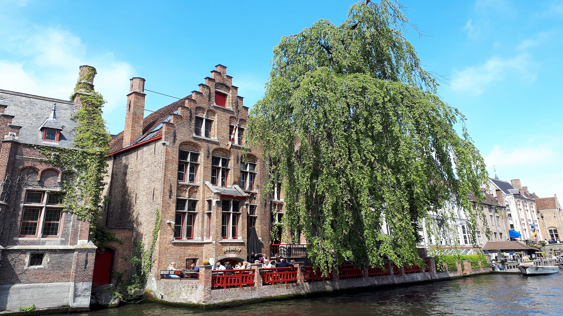 Papier peint – Saule pleureur sur le bord de l’eau – Bruges